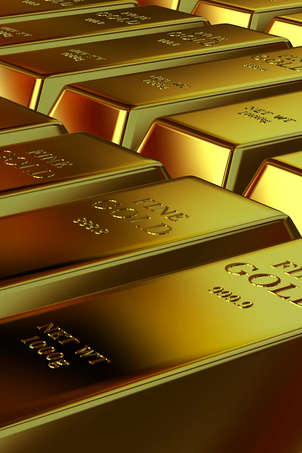 מיתוג עסקי מלא